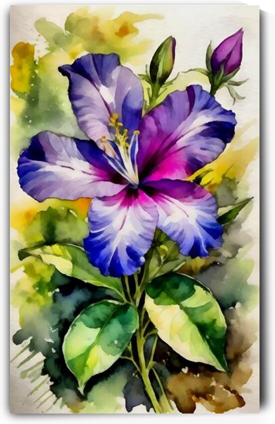 Four o clock flowers14k4 by Touristart25