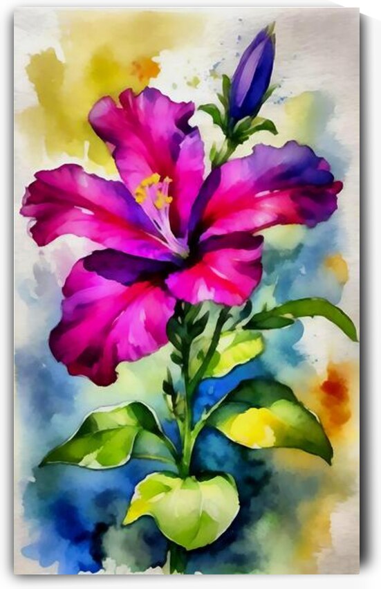 Four o clock flowers14k5 by Touristart25