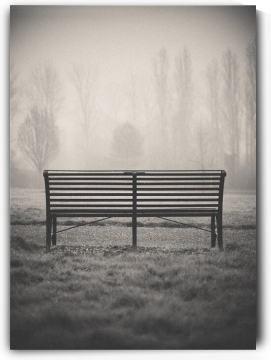 Vacant Solitude by Dave Bowman