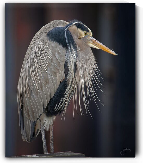In Wait by Jeff Childs