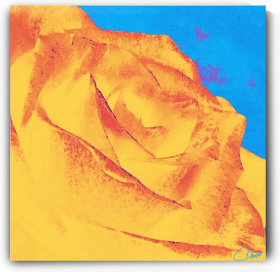 Abstract Vibrant Rose by Catriona Roberts Nature Photography and Designs