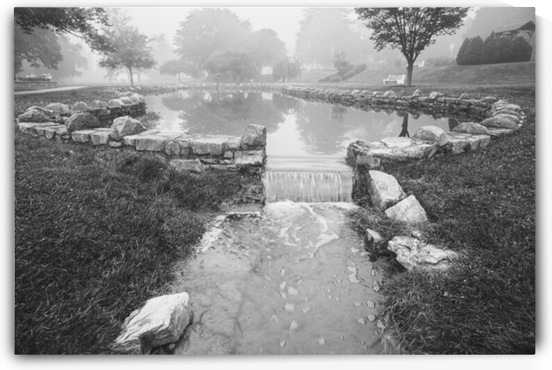 Misty Pond View Allentown Rose Gardens by Jason Fink