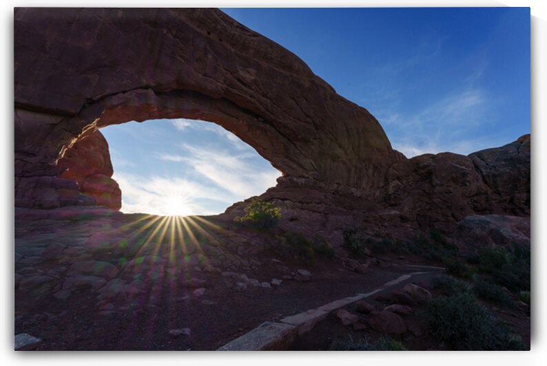South Window Walkway Sunburst by Jennifer White