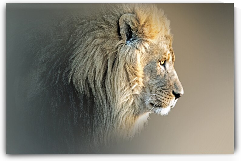 Roar of the Redeemer by B Zolle