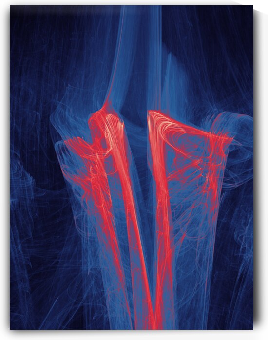 Companion  by Shoonyah