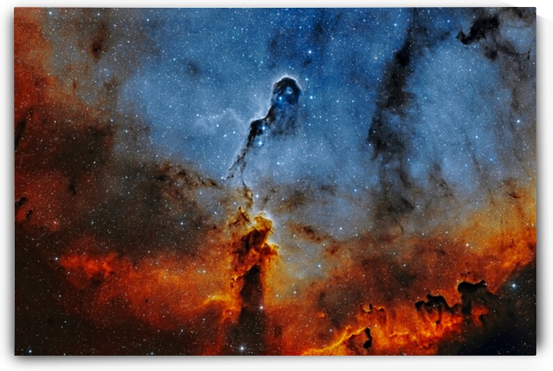 Elephants Trunk Nebula by Lrenz