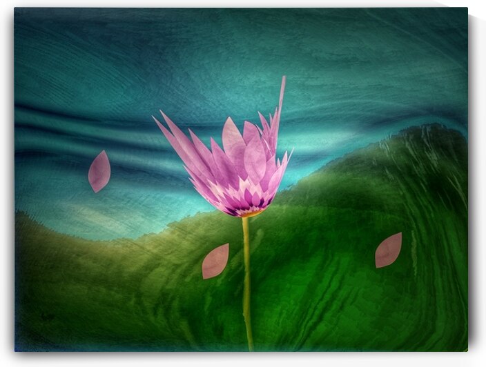 Cherry Blossom Bliss by Arrow3650