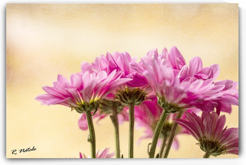 Enchanting Garden Flowers VIII by R Natale Photography