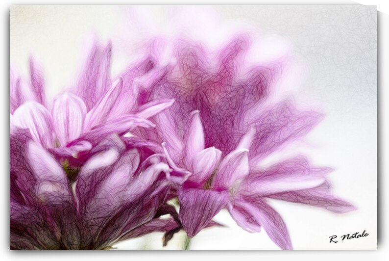 Enchanting Garden Flowers V by R Natale Photography