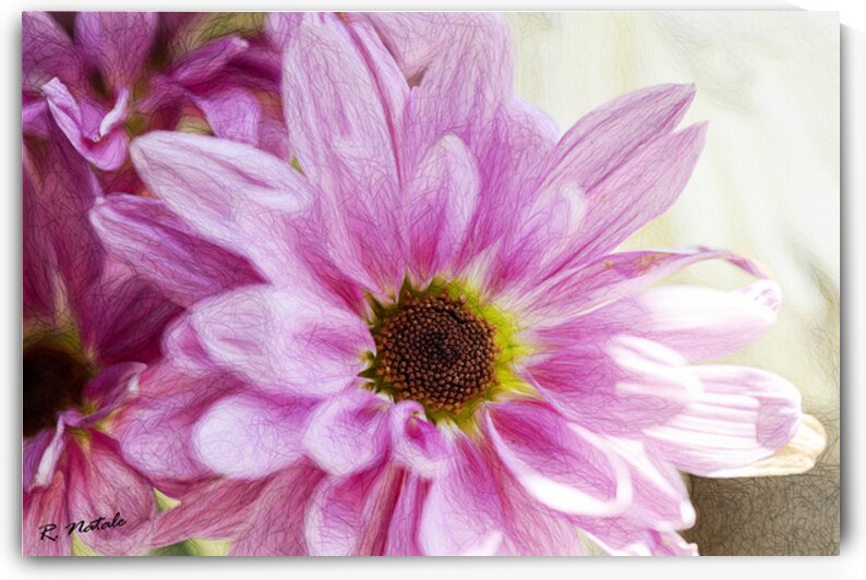 Enchanting Garden Flowers VI by R Natale Photography