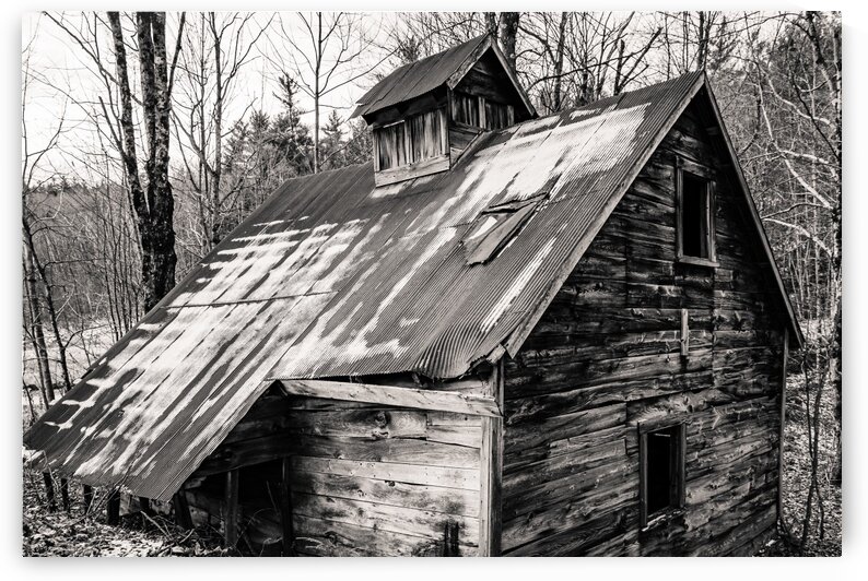 Abandoned Shack 6 by Dave Therrien