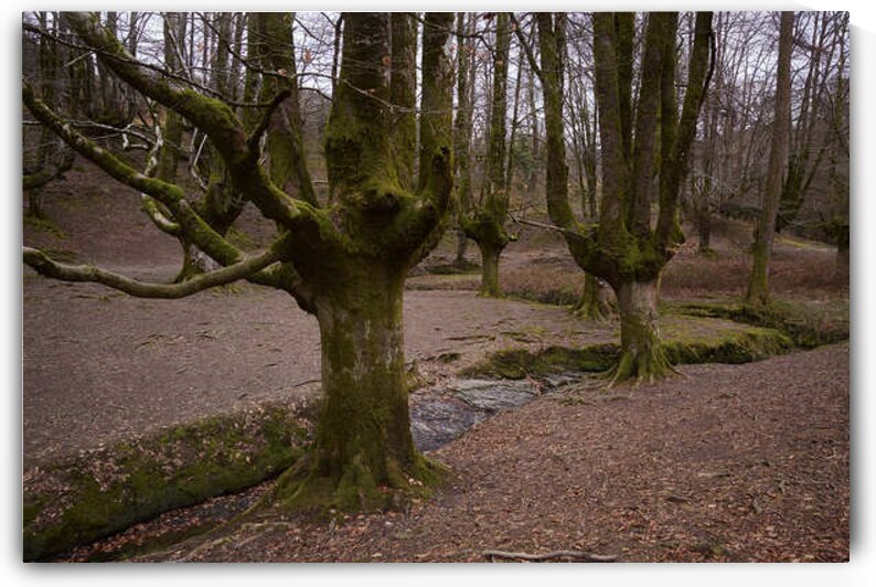 In Basque Country by Images By Jon Evan