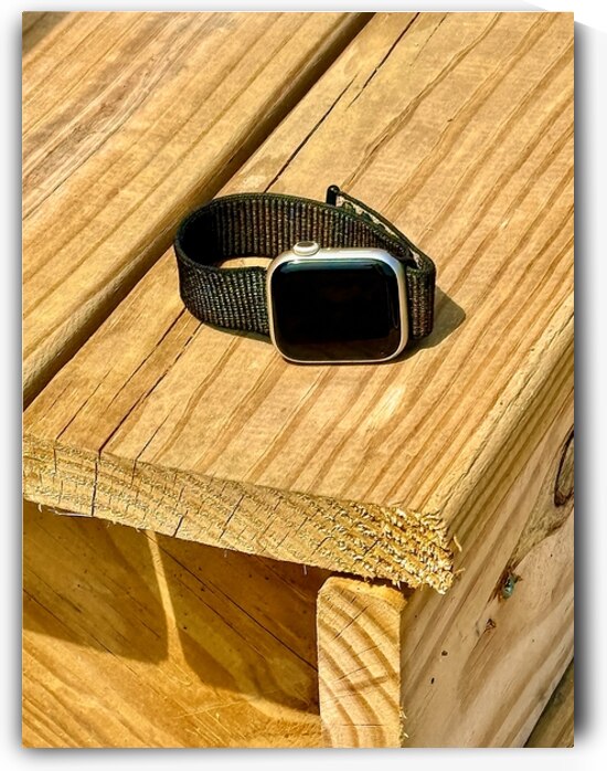 Time to Step Out by Bill Swartwout Photography