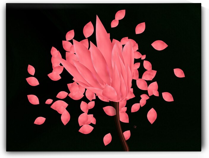 freedom within uncertainty by Arrow3650