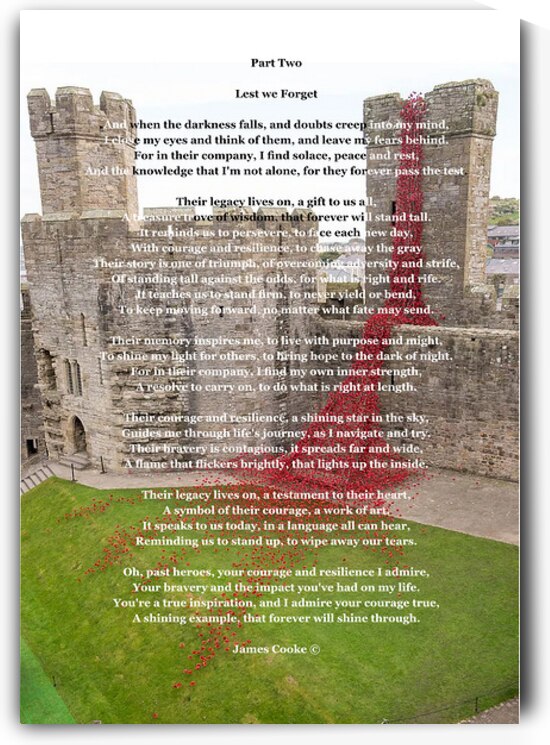 Par two Lest We  Forget  12 by James Cooke