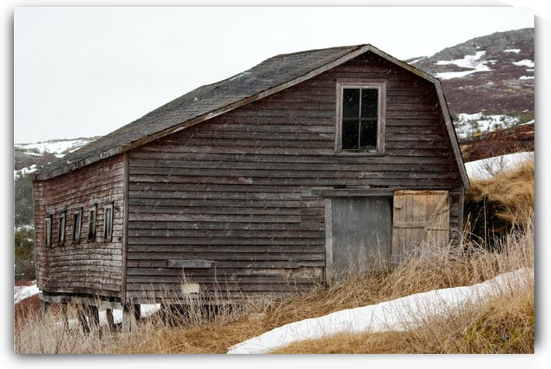 Moratorium memories  by Dustin Carroll