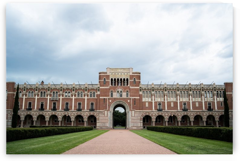Rice University by Nancy Calvert