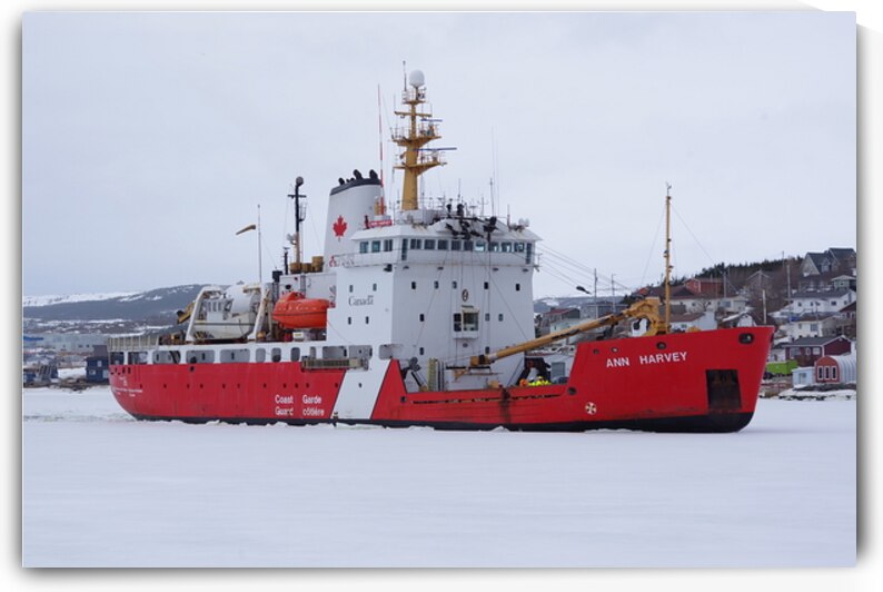 The Ann Harvey by Dustin Carroll