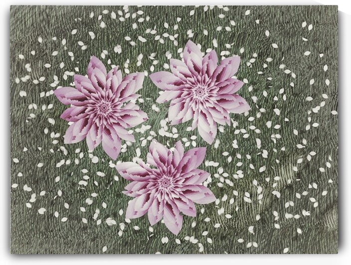 Silent cry of cherry blossoms by Arrow3650