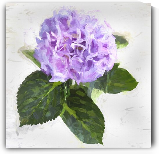 Hydrangea Macrophylla Blue Hydrangea X2 7 by Rich Franco