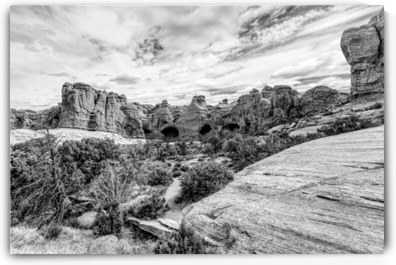 Cove Of Caves Utah Grayscale by Jennifer White