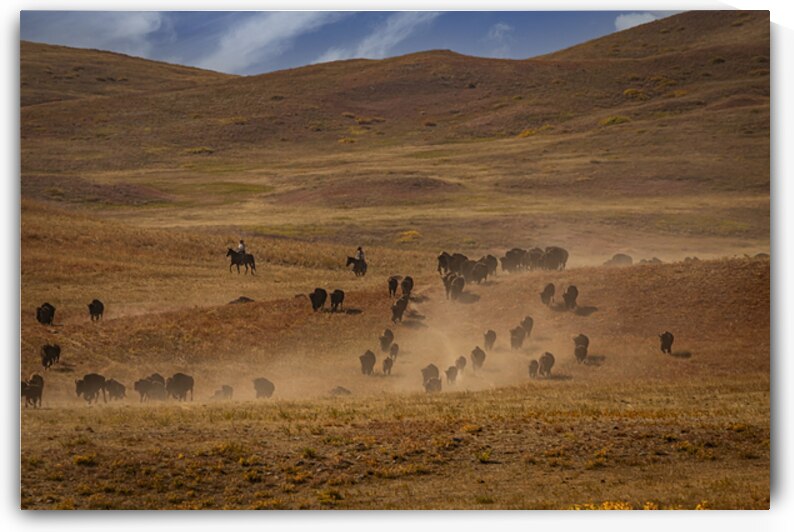 Cowboys guiding a herd of bison across a dusty prairie landscape by Gestalt Imagery