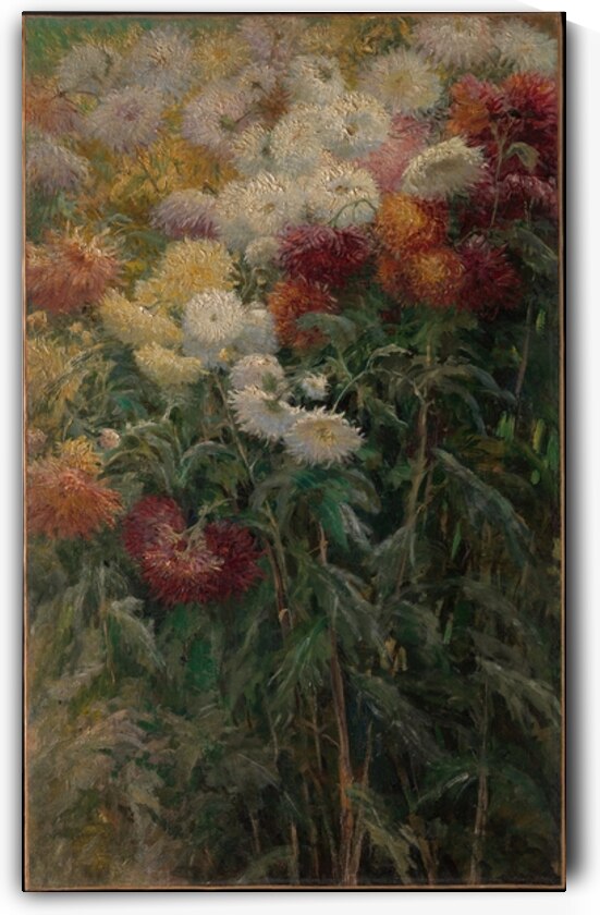 Chrysanthemums in the Garden at Petit–Gennevilliers [1893] by Gustave Caillebotte [1848–1894] by MyCozyFineArt