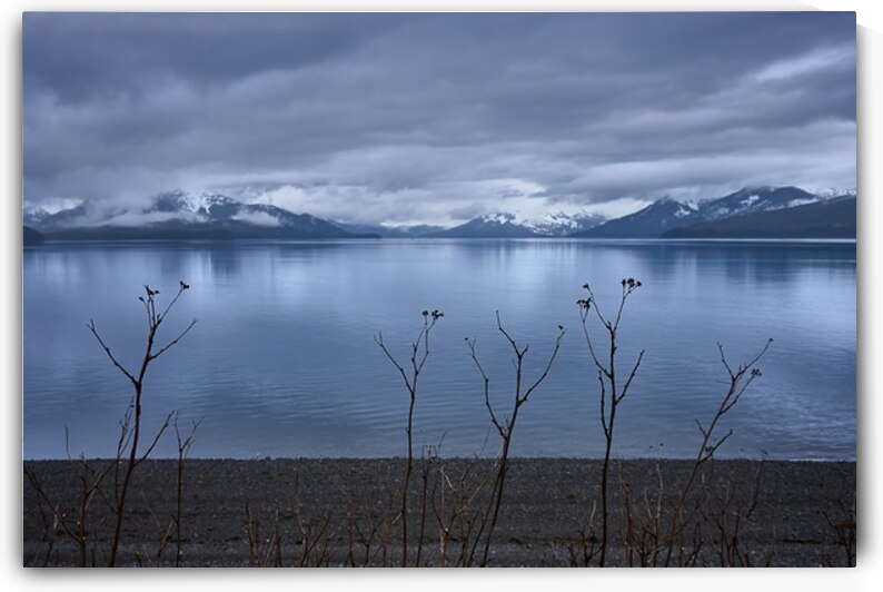 Alaskan Beach Folliage Icy Strait Point by Ryan Cameron