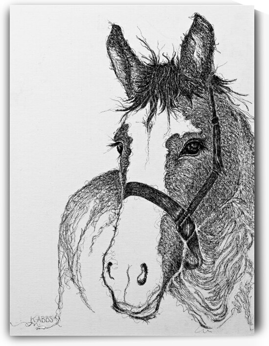 DEVINIER  by K ABBS mud ink studio