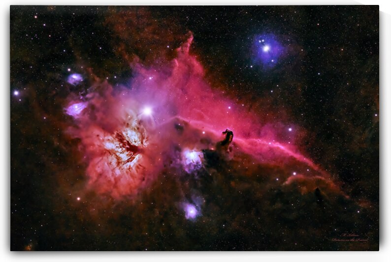 Horsehead Nebula 2017  by Mark Killion