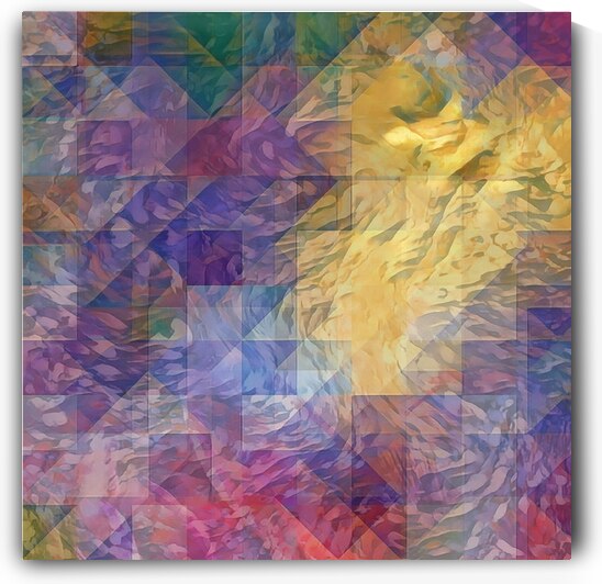 Chaos & Order by Millie R Lissow