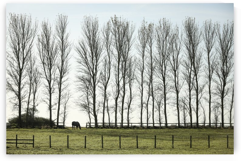 Autumn morning by Attila R  Kovacs