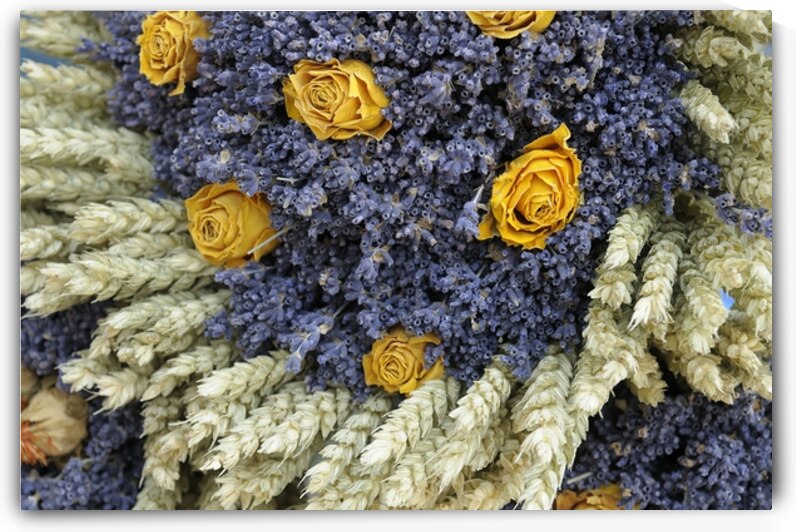 Dried yellow roses and lavender - Lourmarin by Kevin Oke