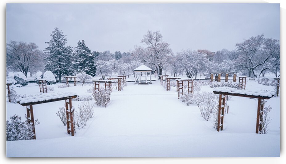 Allentown Rose Gardens Winter Landscape by Jason Fink