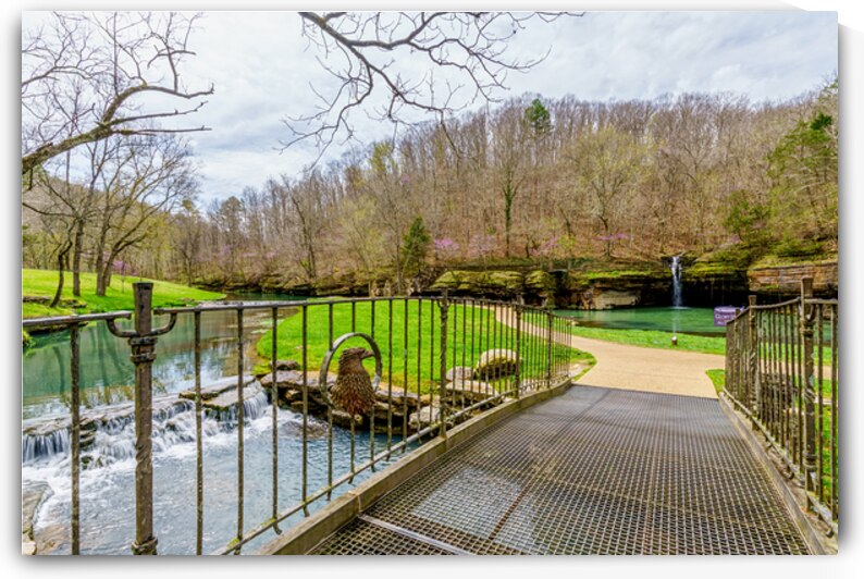 Metal Bridge And Waterfalls by Jennifer White