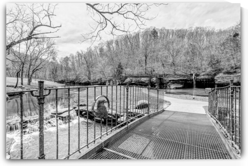 Metal Bridge And Waterfalls Grayscale by Jennifer White