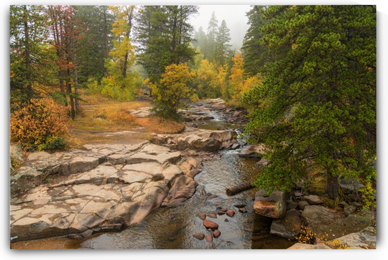 Upstream St Vrain by Bo Insogna