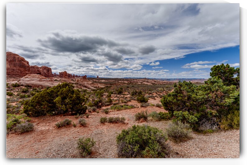 Desert Landscape From Garden Of Eden by Jennifer White