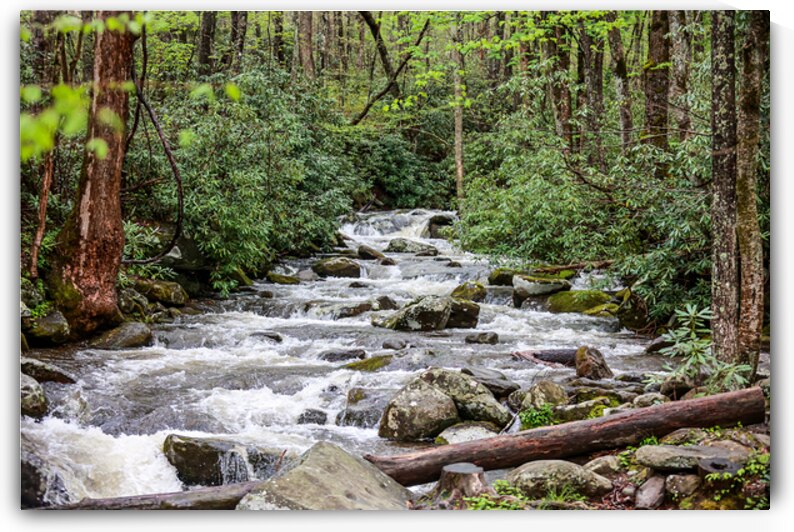 Mountain Stream by Vividscope