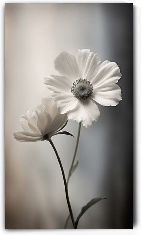 Fathers Day Florals 4 of 5 by The Mabazza Foundation 