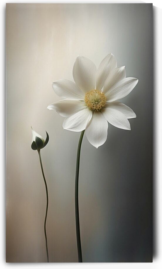 Fathers Day Florals 5 of  5 by The Mabazza Foundation 