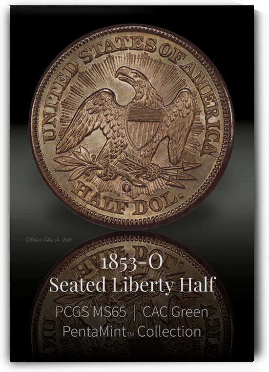 0050.1853-O.5 Echoes of Strain: The 1853-O Arrows and Rays Half Dollar  by The Numismatic Art of Robert Julian