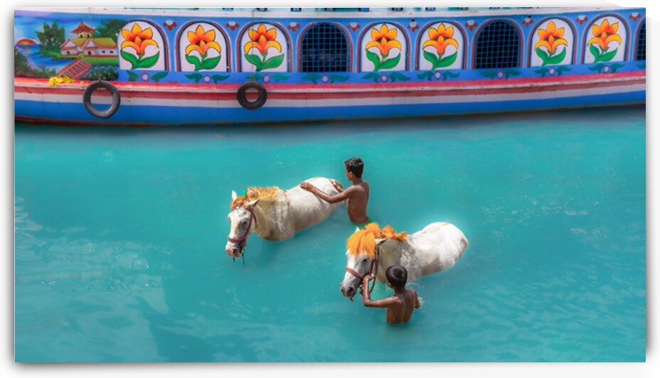 Two horse by Mohiuddin Ahmed