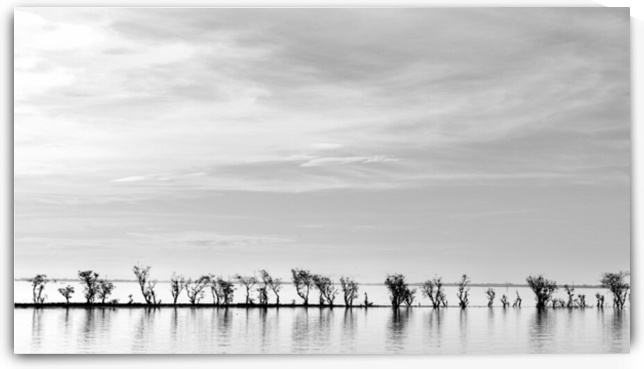 Hawor by Mohiuddin Ahmed