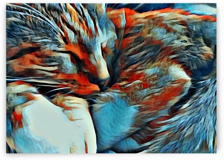 Sleeping Cat by Bruce Rolff