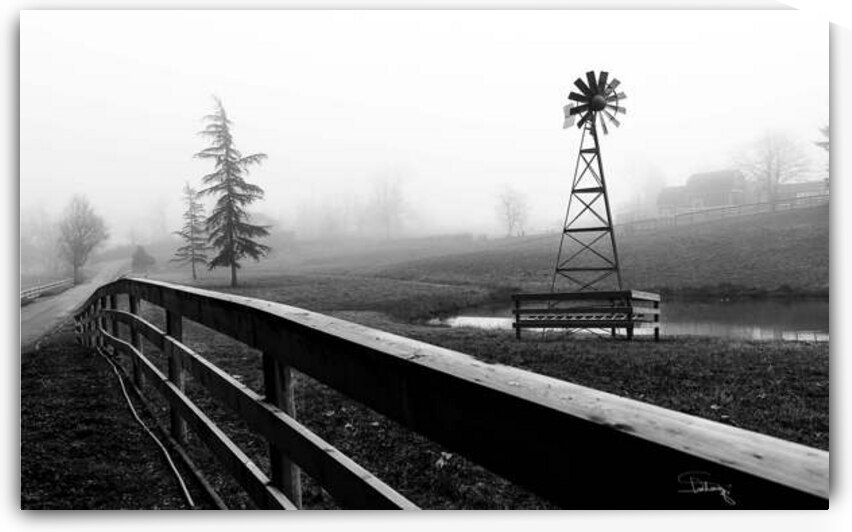 Fog by Mohiuddin Ahmed