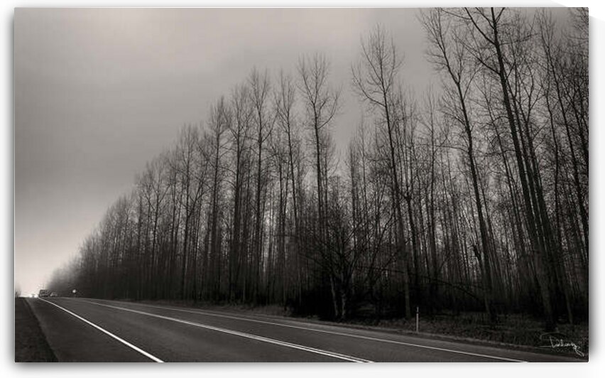 FOG2 by Mohiuddin Ahmed