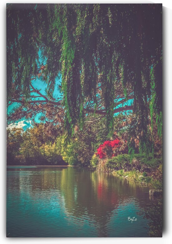 Autumns Palette: Evergreen Pines and Vibrant Perennials by the Reflective Lake by By:Zo Art Print Collection   by Maria Desnoyers