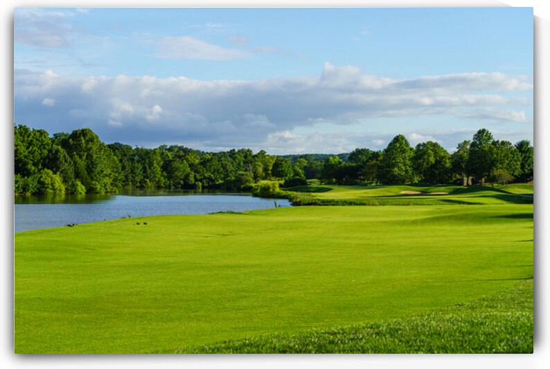 Golf Course Quiet summer Evening by Jennifer White