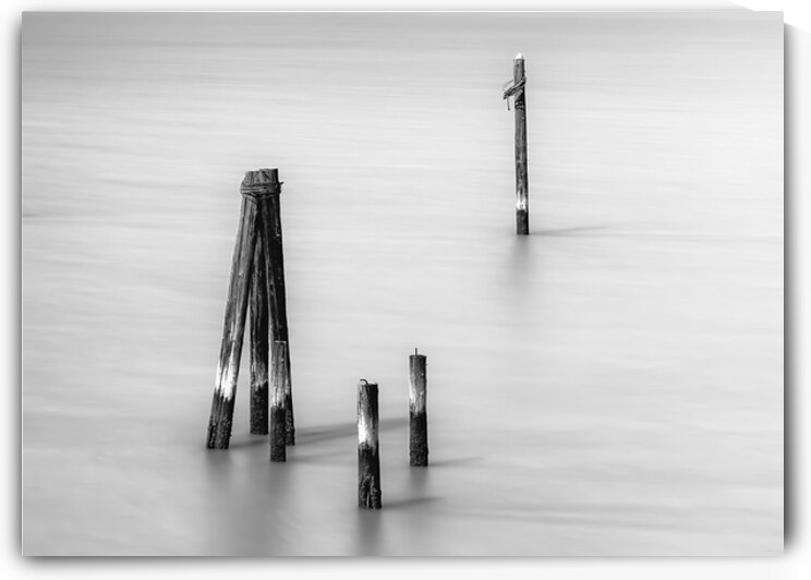 Old Wooden Pilings by Jerry Fornarotto